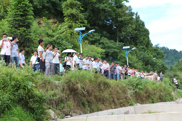 贵州羊场镇人口_贵州盘县羊场乡地图