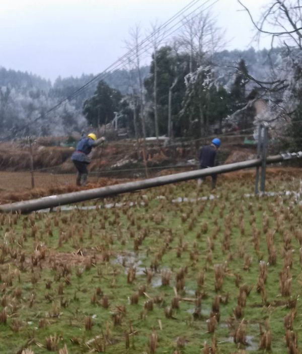 贵州羊场镇人口_贵州盘县羊场乡地图