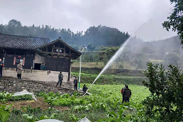 蕉溪村人口