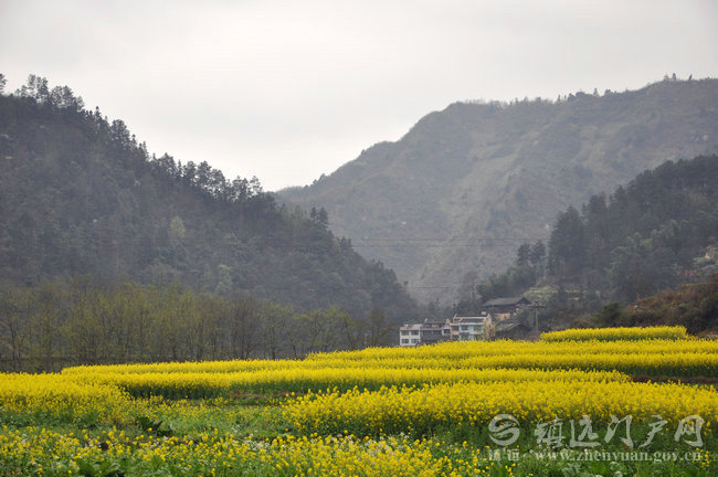 镇远县蕉溪镇乡村旅游发展前景广阔 - 镇远门户