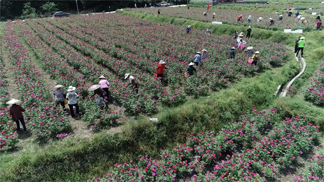 朗洞地区人口_中国人口分布与地区图